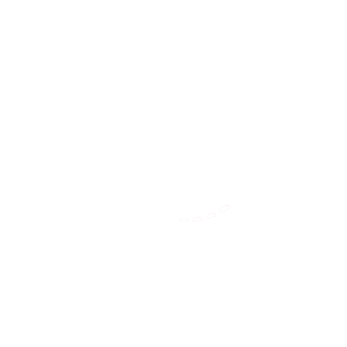 Dickies_logo