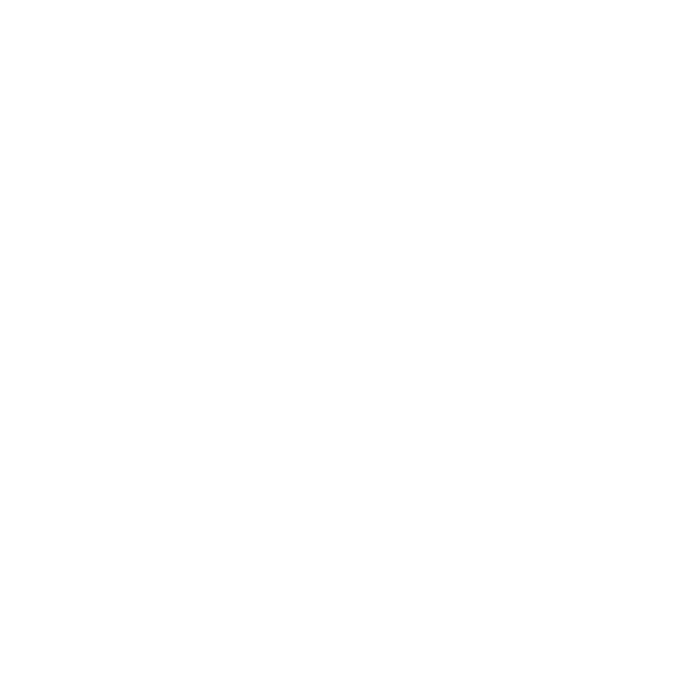 Havaianas_logo